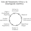 Desarrollo de Capacidades Científicas - Imagen 3