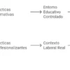 Guía para las Prácticas Profesionalizantes - Imagen 7