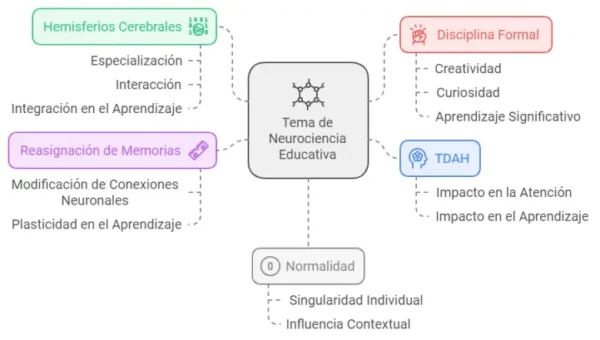 Bases neurocientíficas de la educación - Imagen 5